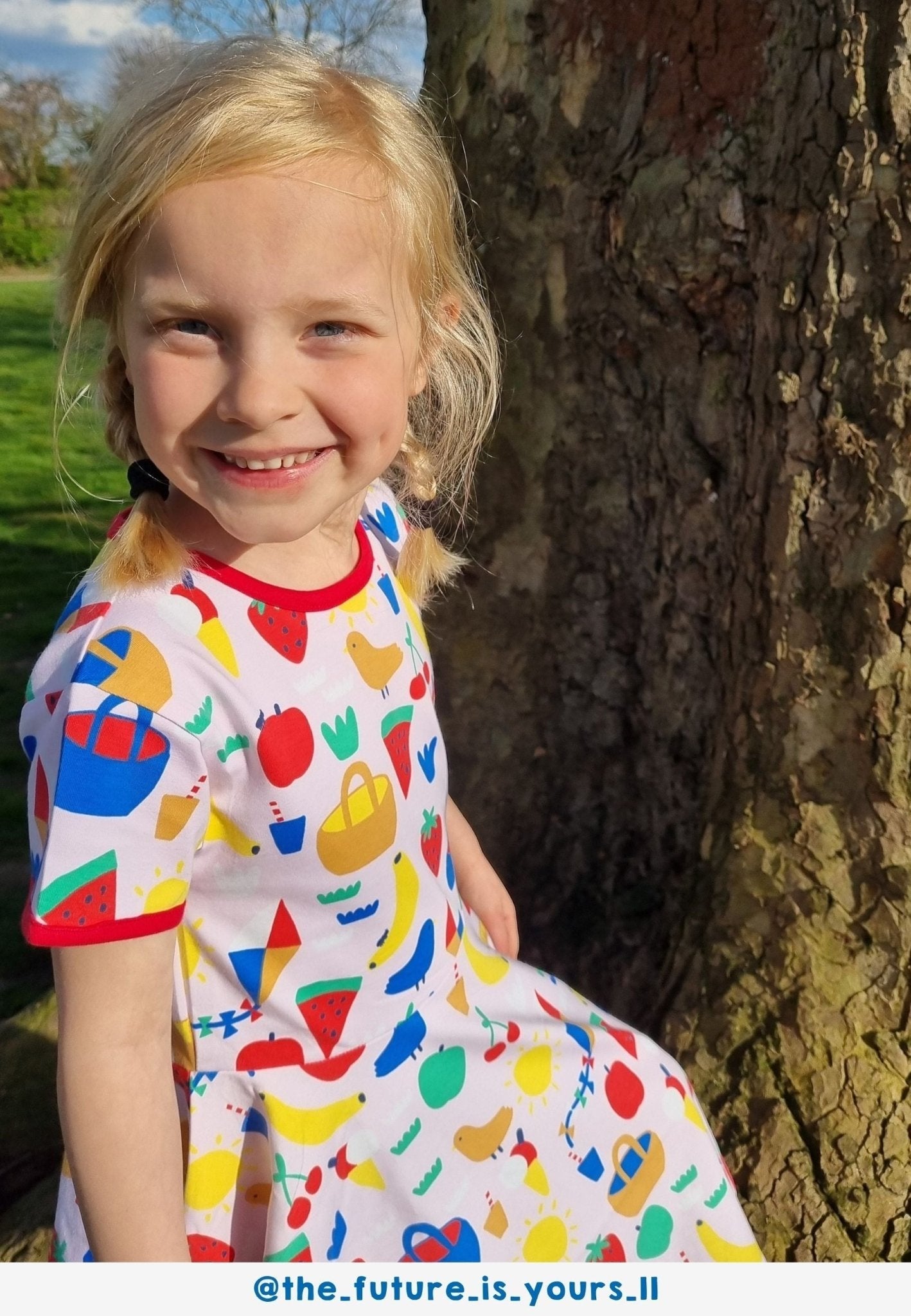 Toby Tiger Organic Picnic Print Short Sleeved Skater Dress